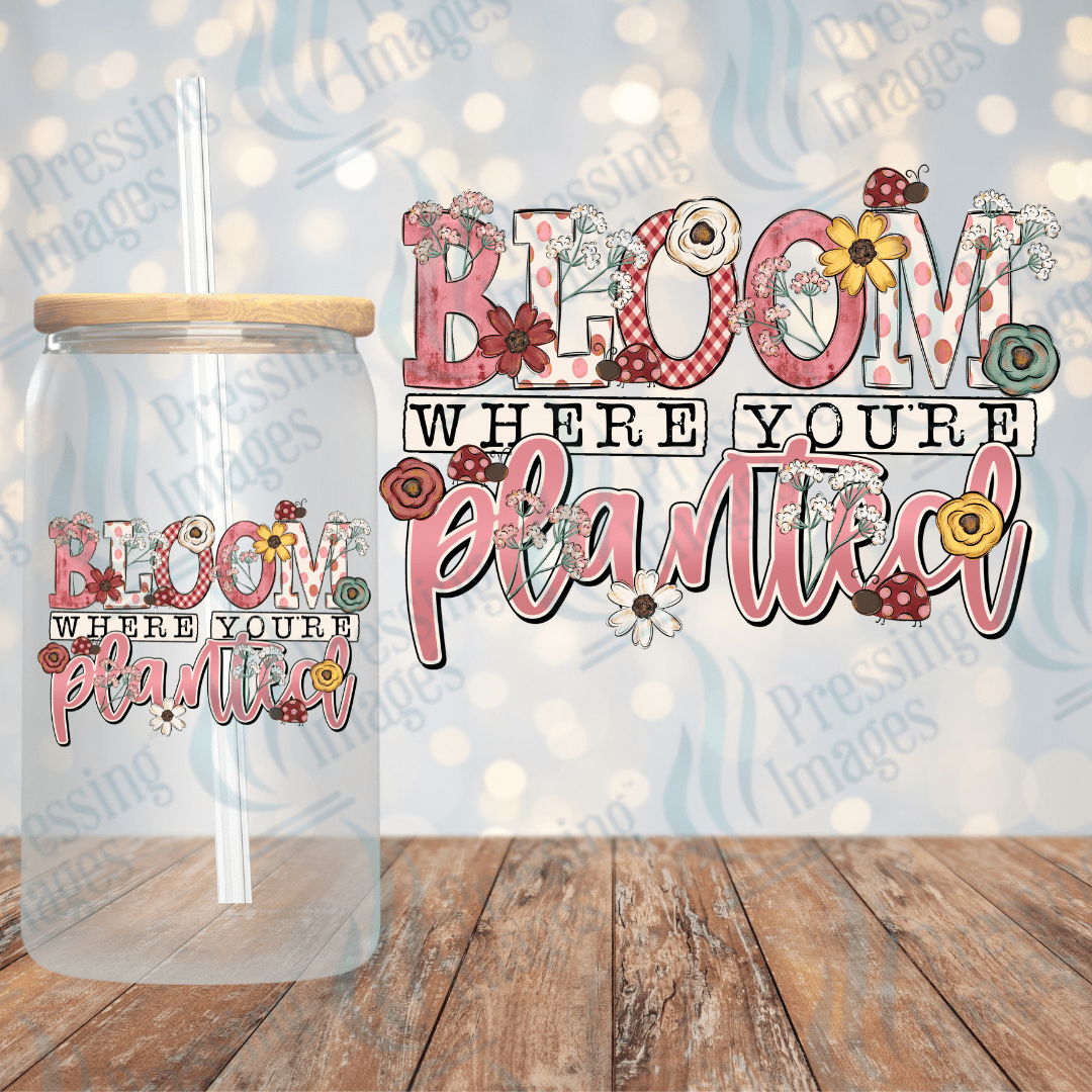 UVD 2237 Bloom Where You're Planted - Pressing Images