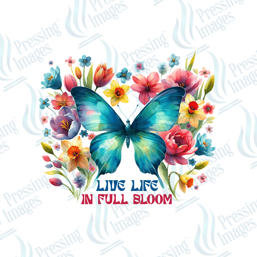 UVD 2238 Butterfly - Pressing Images