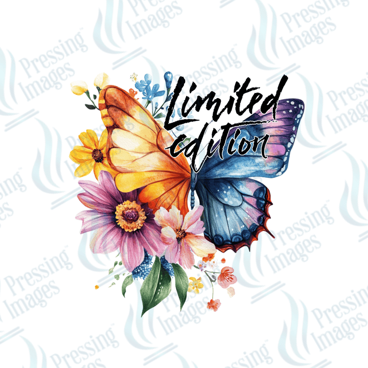 UVD 2261 Limited Edition - Pressing Images