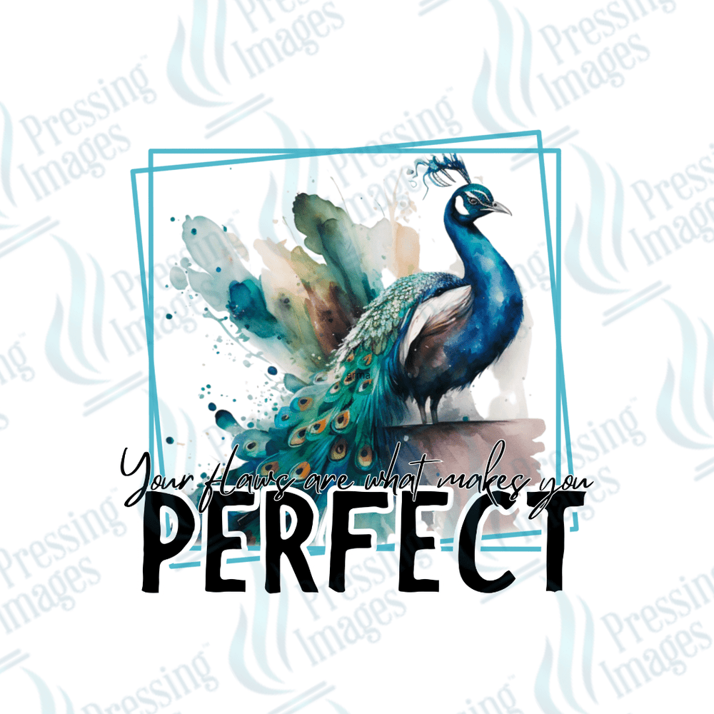 UVD 2292 Flaws Make You Perfect - Pressing Images