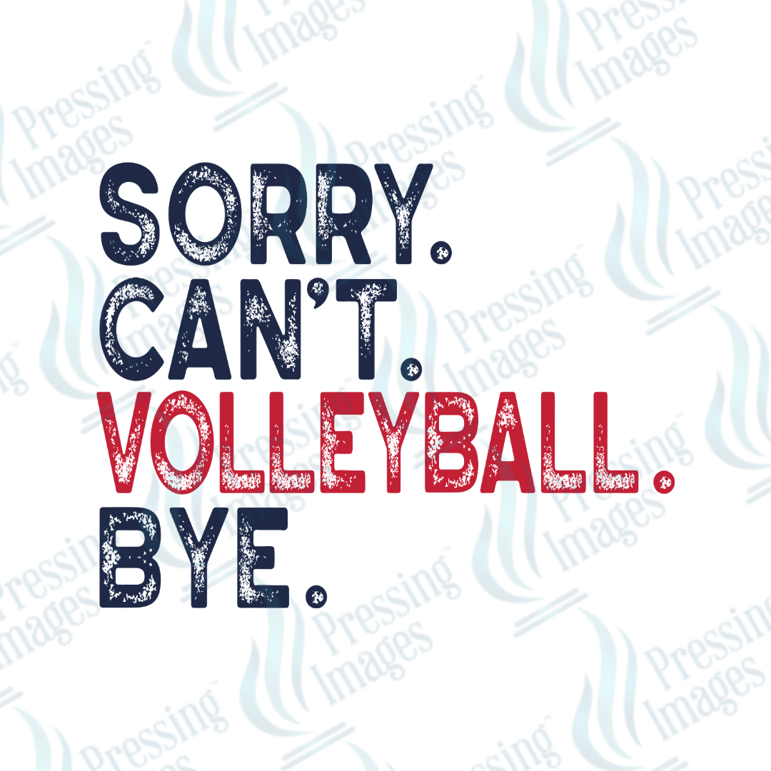 UVD 2338 Sorry Can't - Pressing Images