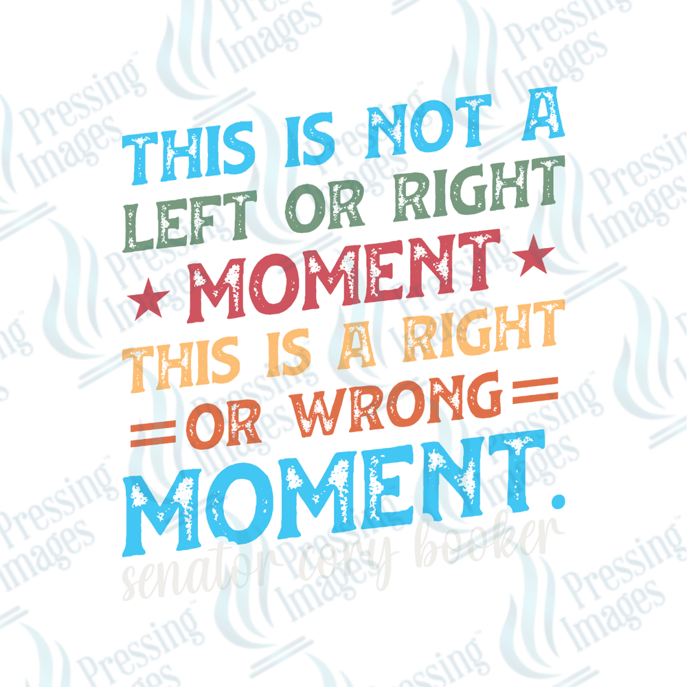 UVD 2361 This is Not a Left or Right Moment - Pressing Images