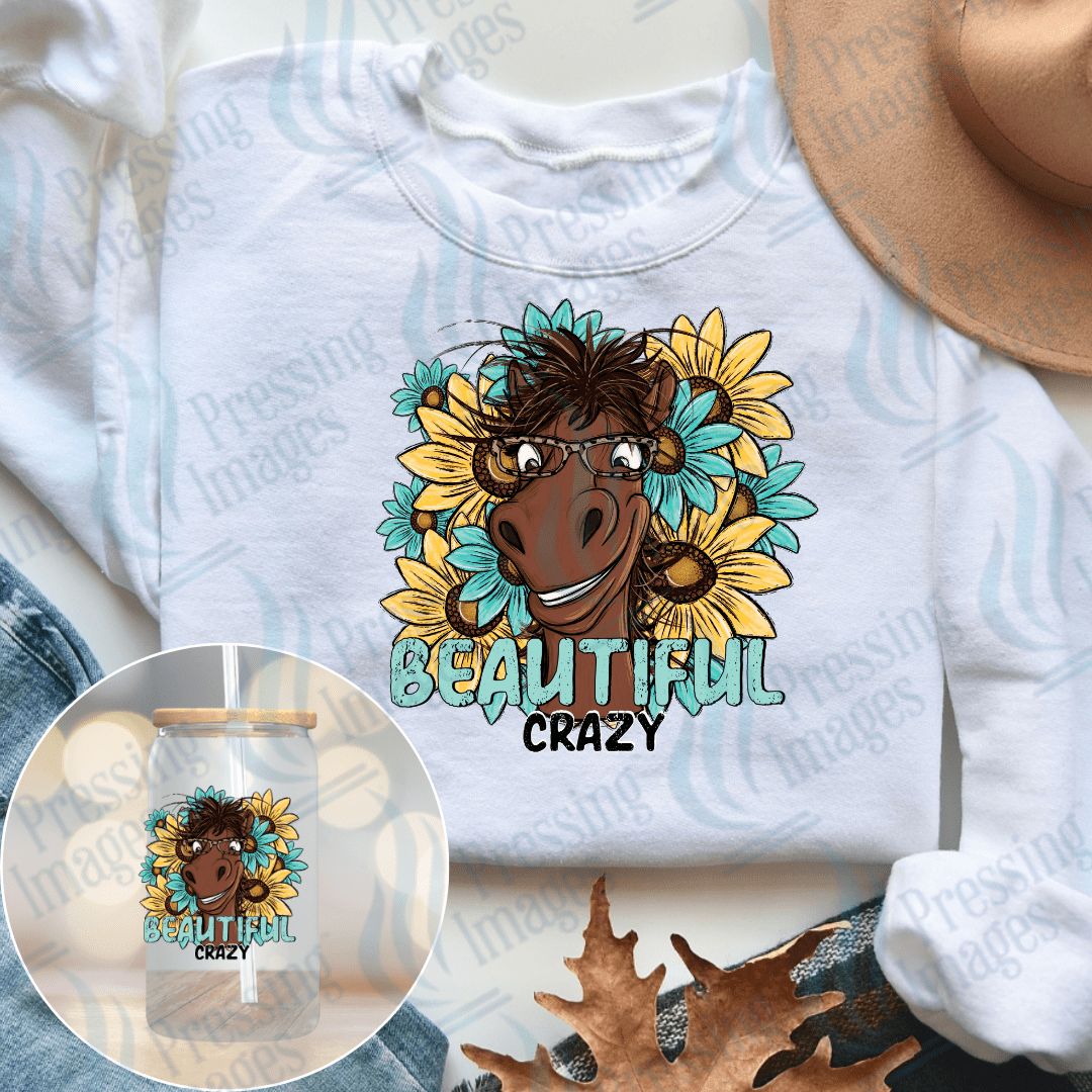 UVD 2364 Beautiful Crazy - Pressing Images