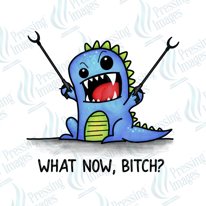 UVD 2365 What Now Bitch - Pressing Images