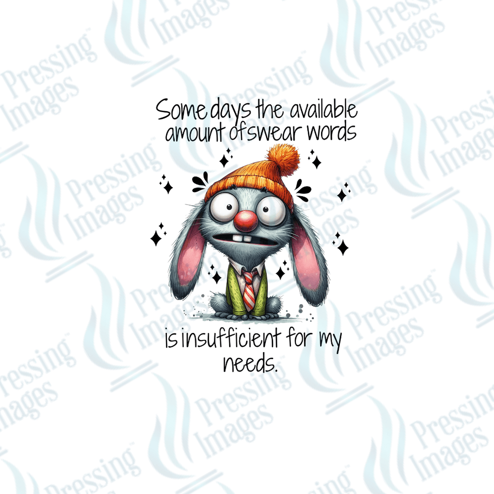 UVD 2370 Somedays The Available Amount of Swear Words - Pressing Images