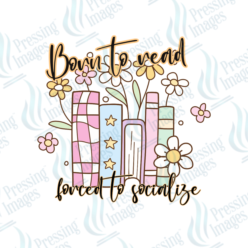 UVD 2379 Born To Read - Pressing Images