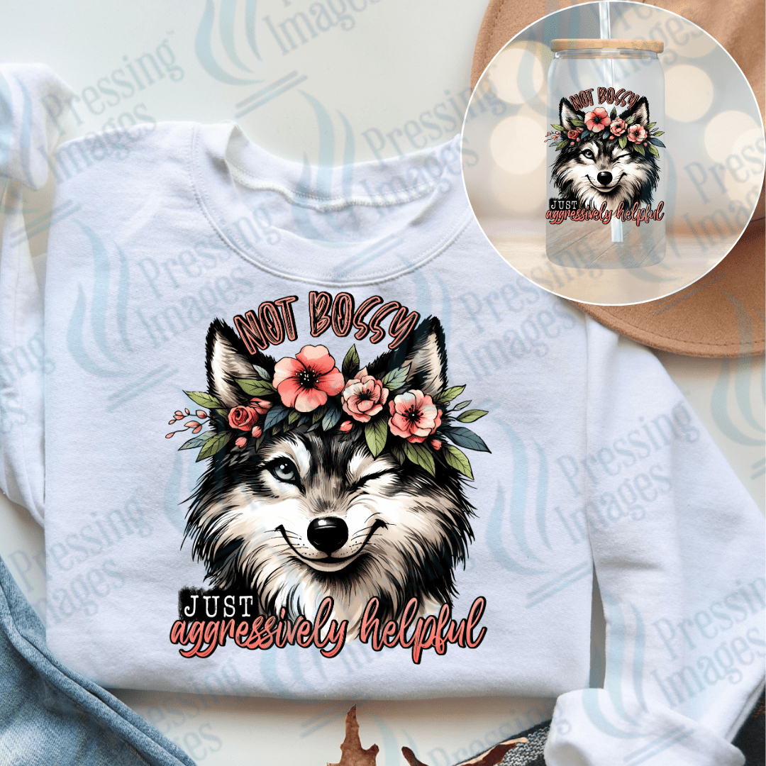 UVD 2402 Not Bossy Fox - Pressing Images