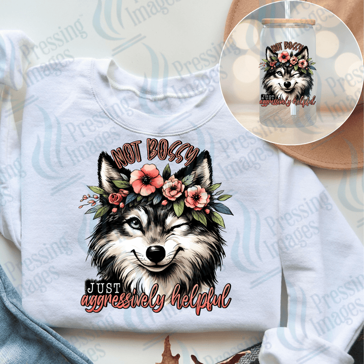 UVD 2402 Not Bossy Fox - Pressing Images