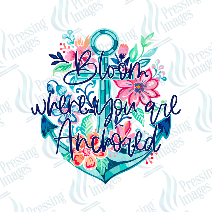 UVD 2403 Bloom Where You Are Anchored - Pressing Images