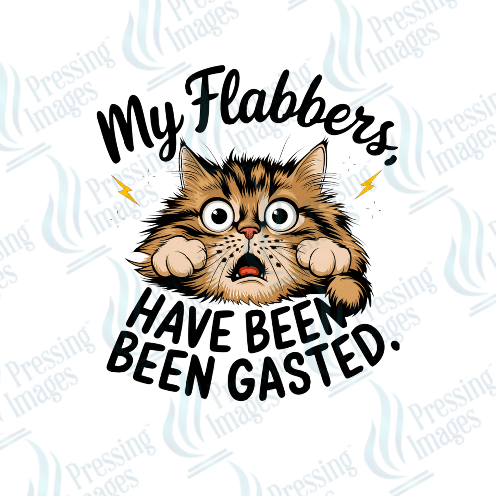 UVD 2455 My Flabber's - Pressing Images