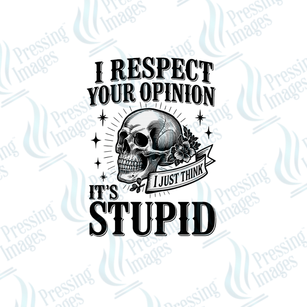 UVD 2478 I Respect Your Opinion - Pressing Images