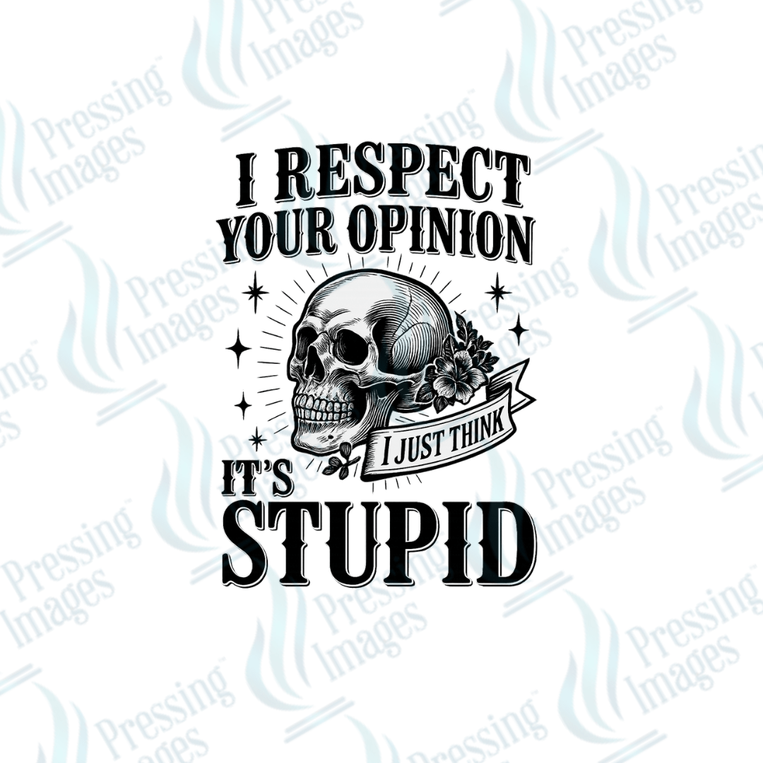 UVD 2478 I Respect Your Opinion - Pressing Images