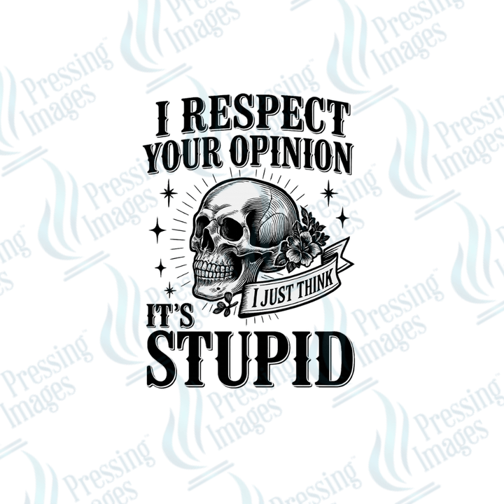 UVD 2478 I Respect Your Opinion - Pressing Images