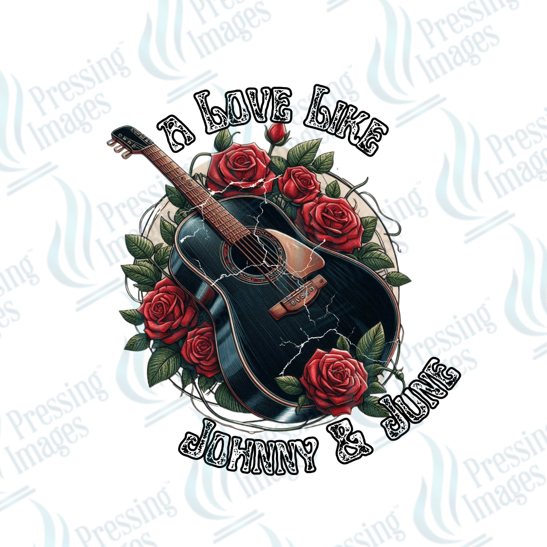 UVD 2484 A Love Like Johnny And June - Pressing Images