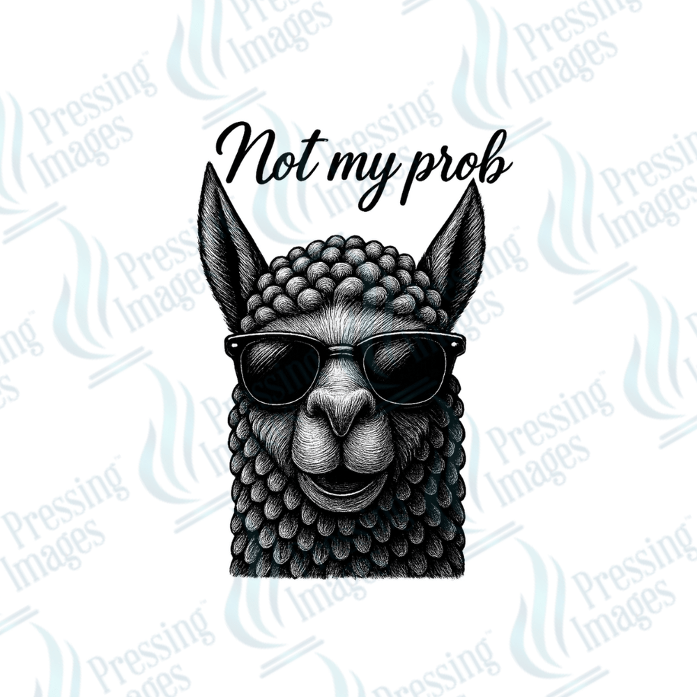 UVD 2485 Llama - Pressing Images