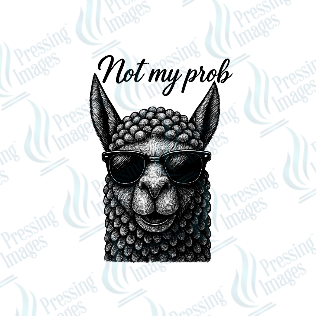 UVD 2485 Llama - Pressing Images