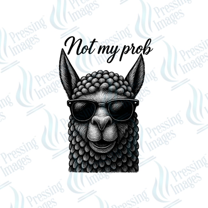 UVD 2485 Llama - Pressing Images