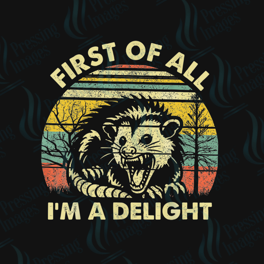 UVD 2490 First Of All I'm A Delight - Pressing Images