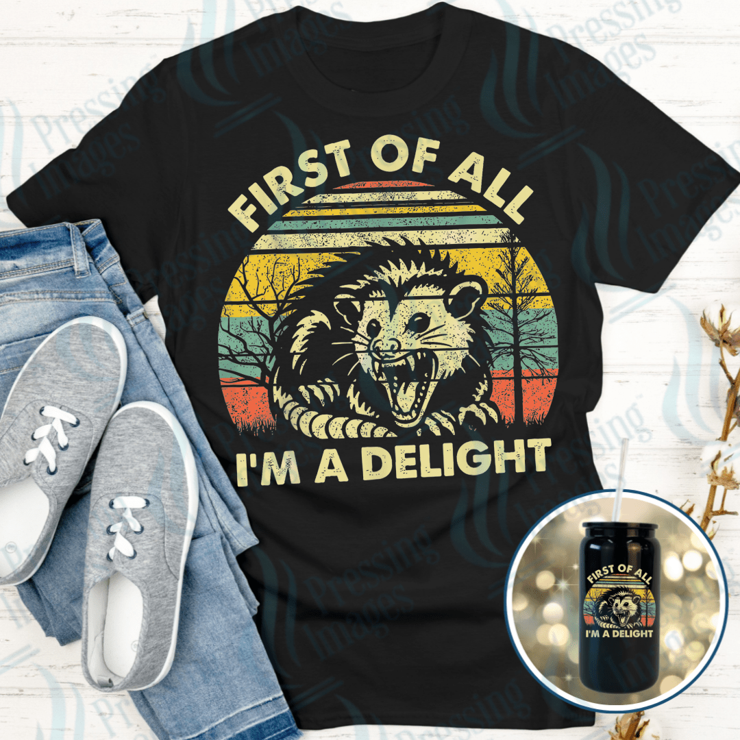 UVD 2490 First Of All I'm A Delight - Pressing Images