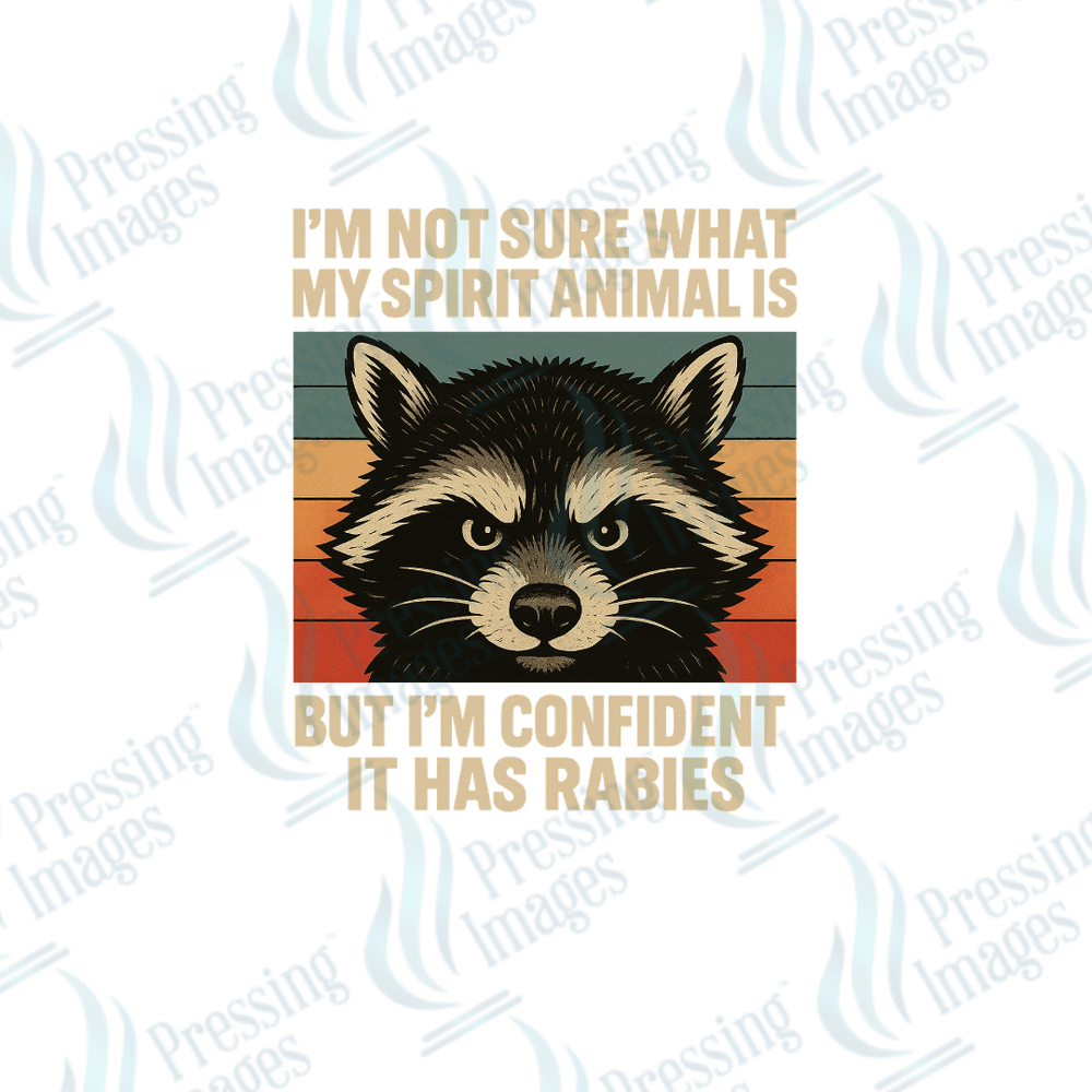 UVD 2494 Raccoon Spirit Animal - Pressing Images