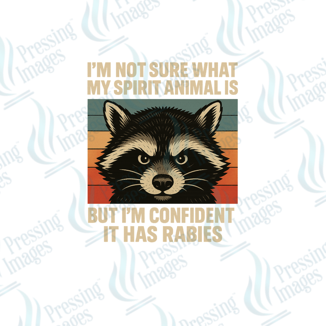 UVD 2494 Raccoon Spirit Animal - Pressing Images