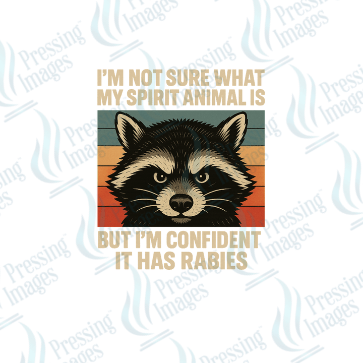 UVD 2494 Raccoon Spirit Animal - Pressing Images