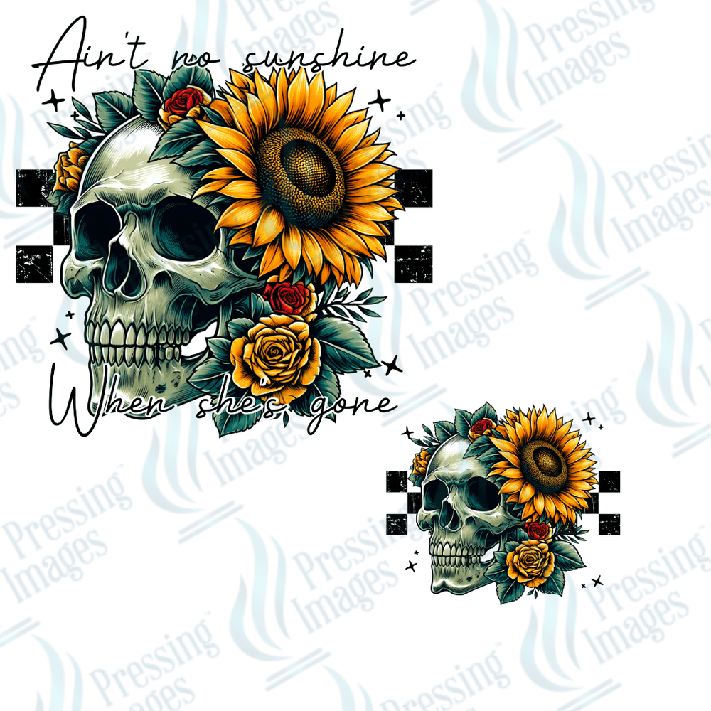 UVD 2507 Ain't No Sunshine - Pressing Images