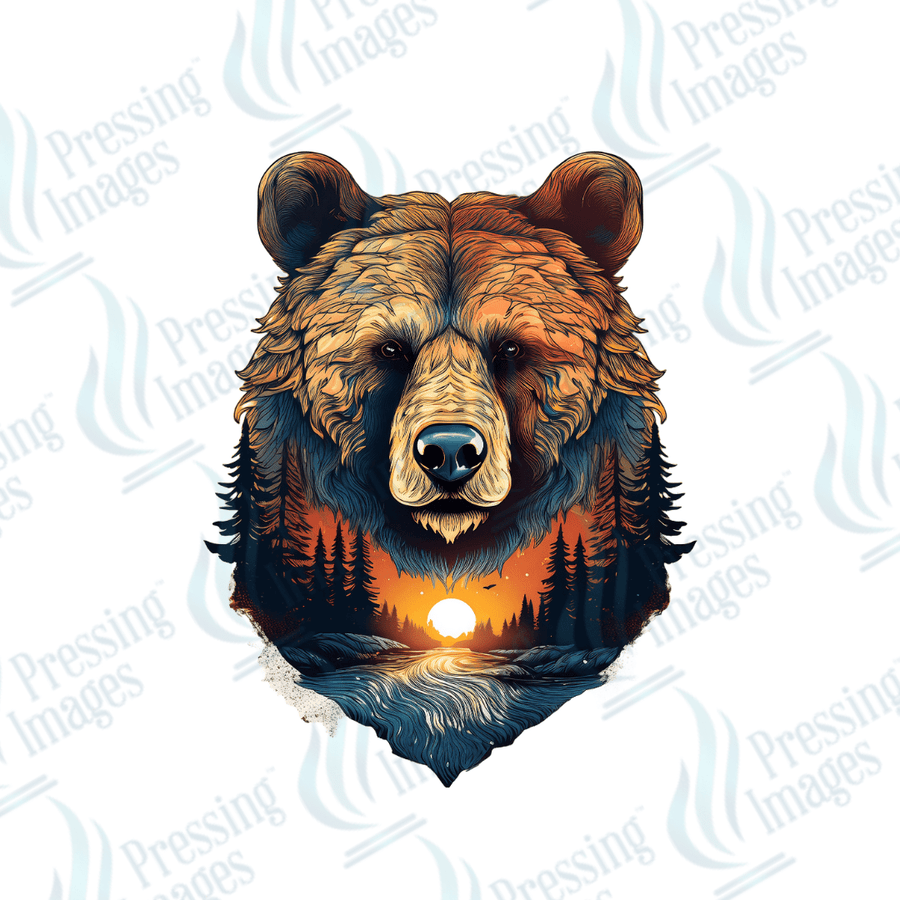 UVD 2510 Bear - Pressing Images