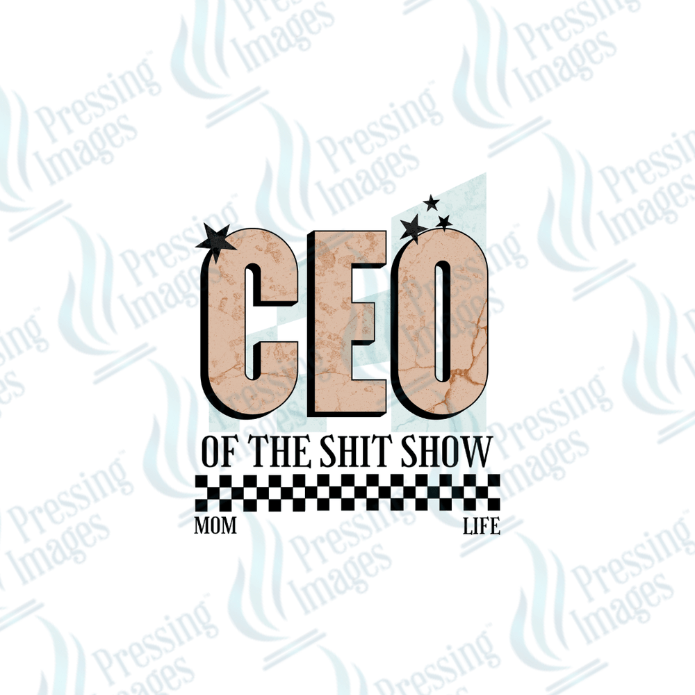 UVD 2515 CEO Of The Shit Show - Pressing Images
