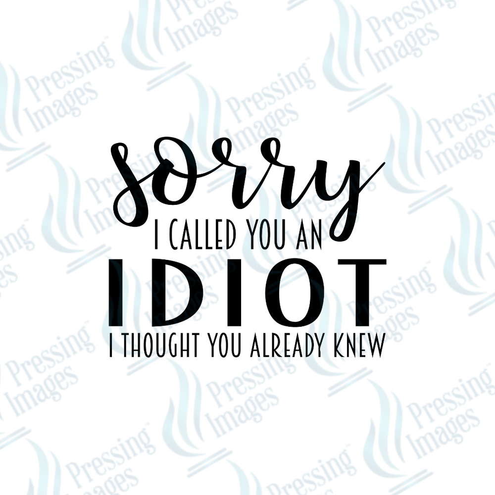 UVD 2542 Sorry I Called You An Idiot - Pressing Images