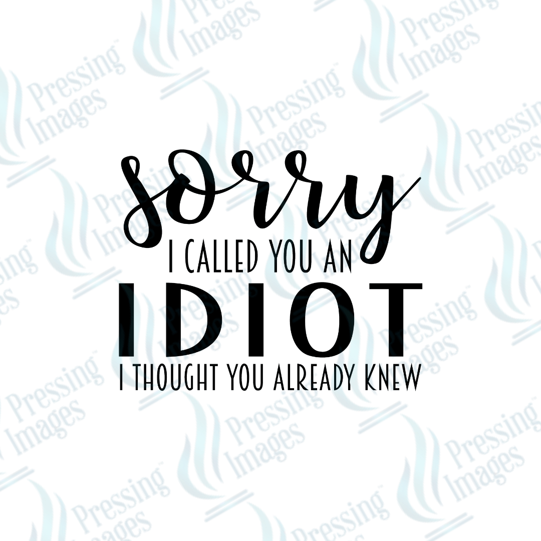 UVD 2542 Sorry I Called You An Idiot - Pressing Images