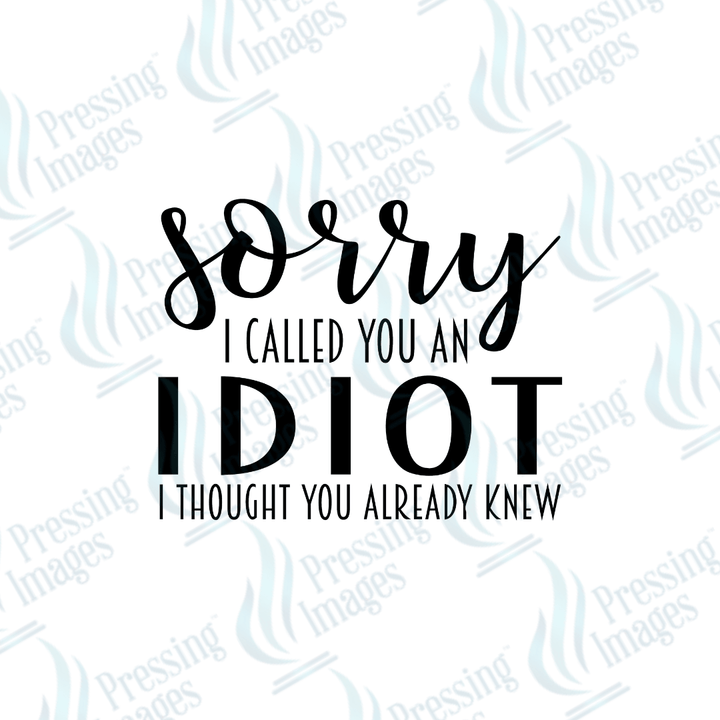 UVD 2542 Sorry I Called You An Idiot - Pressing Images