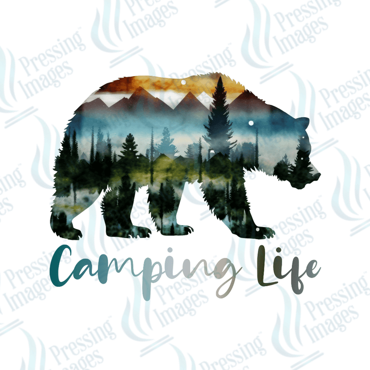 UVD 2564 Camping Life - Pressing Images