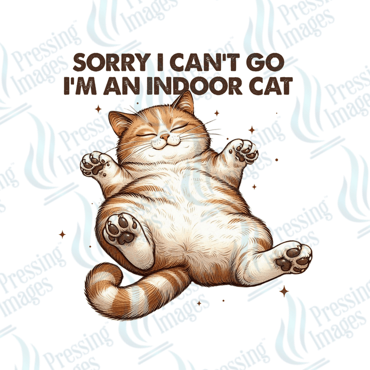 UVD 2597 Sorry I Can't - Pressing Images