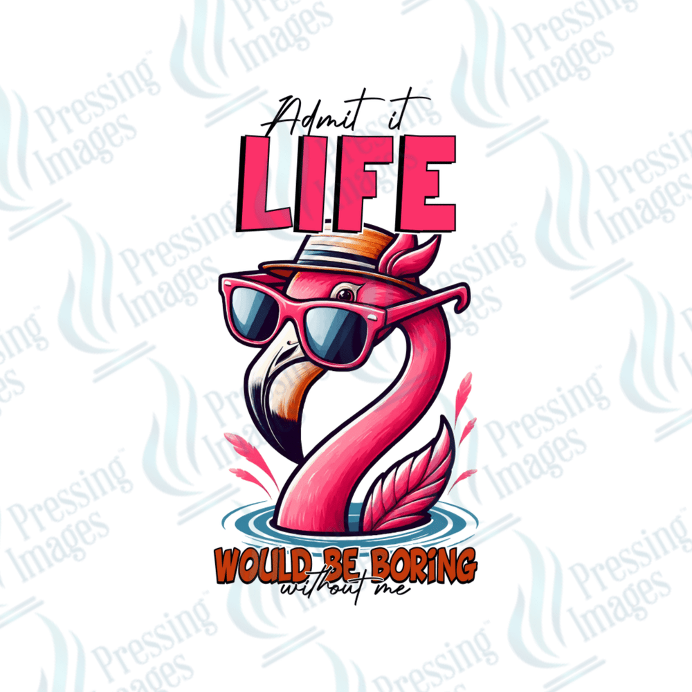 UVD 2621 Admit It Life Would Be Boring Without Me - Pressing Images