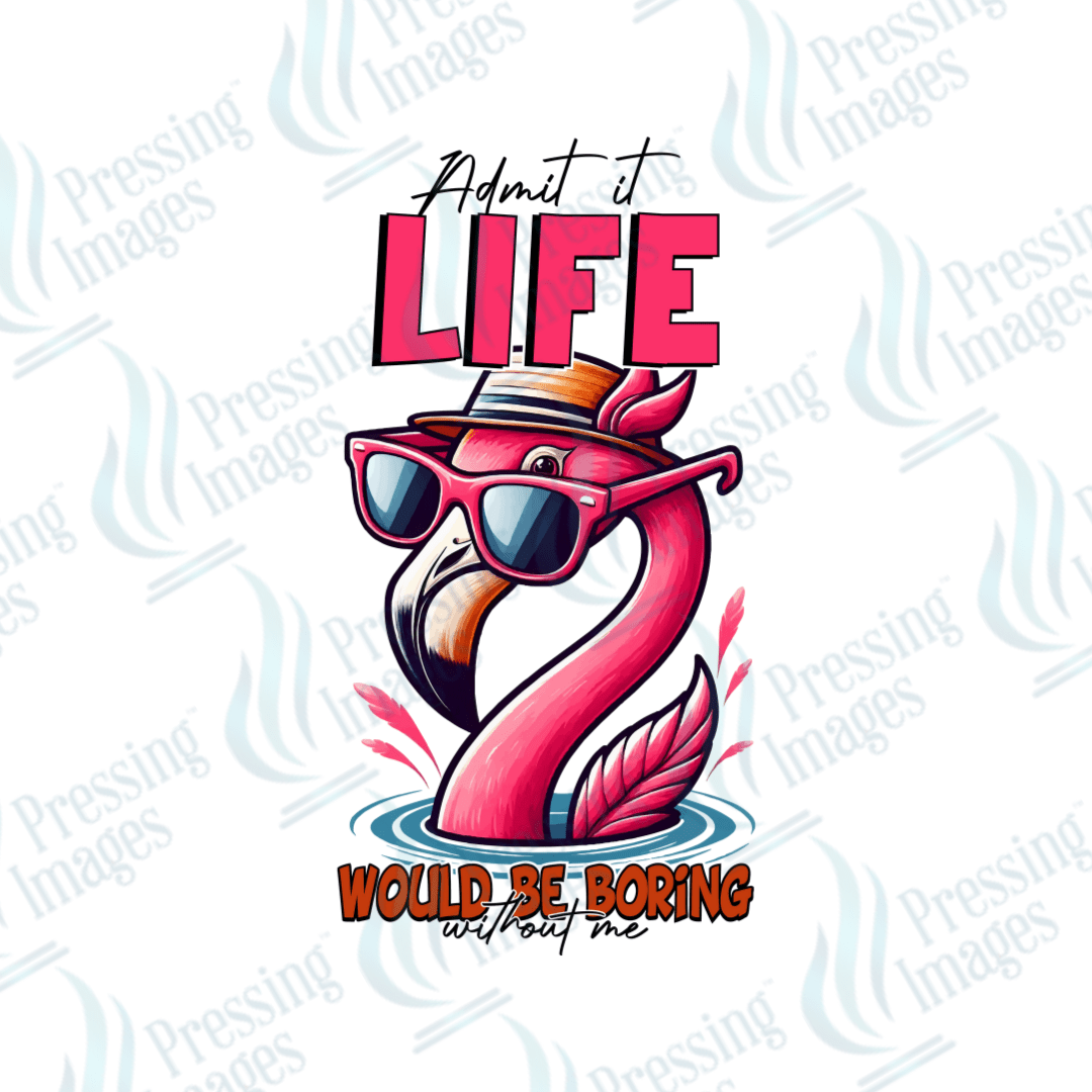 UVD 2621 Admit It Life Would Be Boring Without Me - Pressing Images