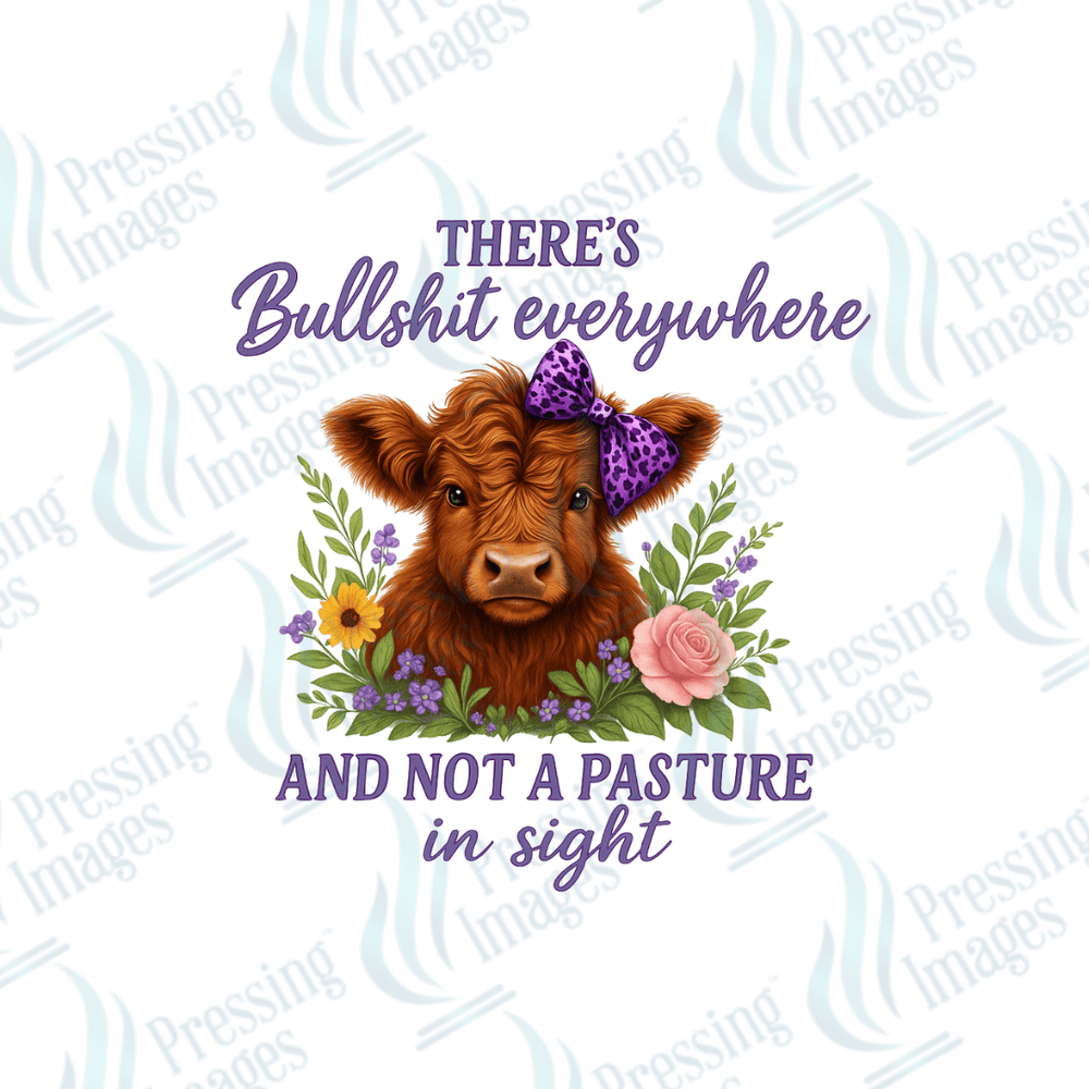 UVD 2628 Not A Pasture In Sight - Pressing Images