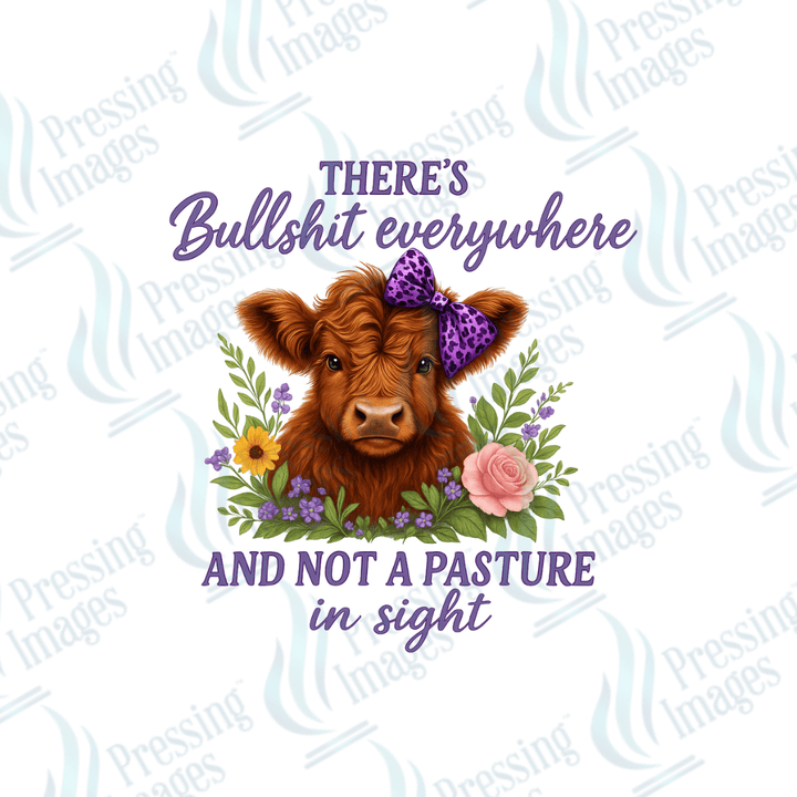 UVD 2628 Not A Pasture In Sight - Pressing Images