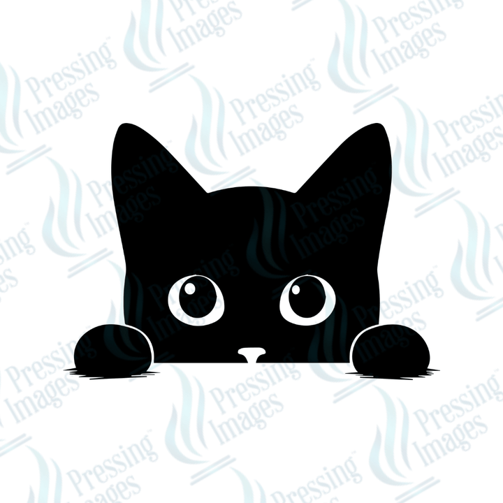 UVD 2637 Black Cat - Pressing Images