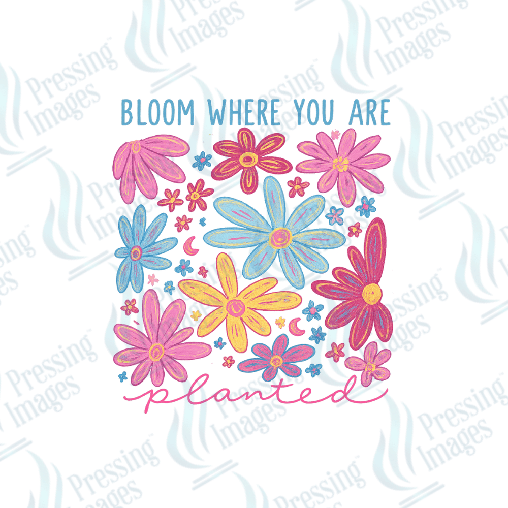 UVD 2640 Bloom Where You Are Planted - Pressing Images