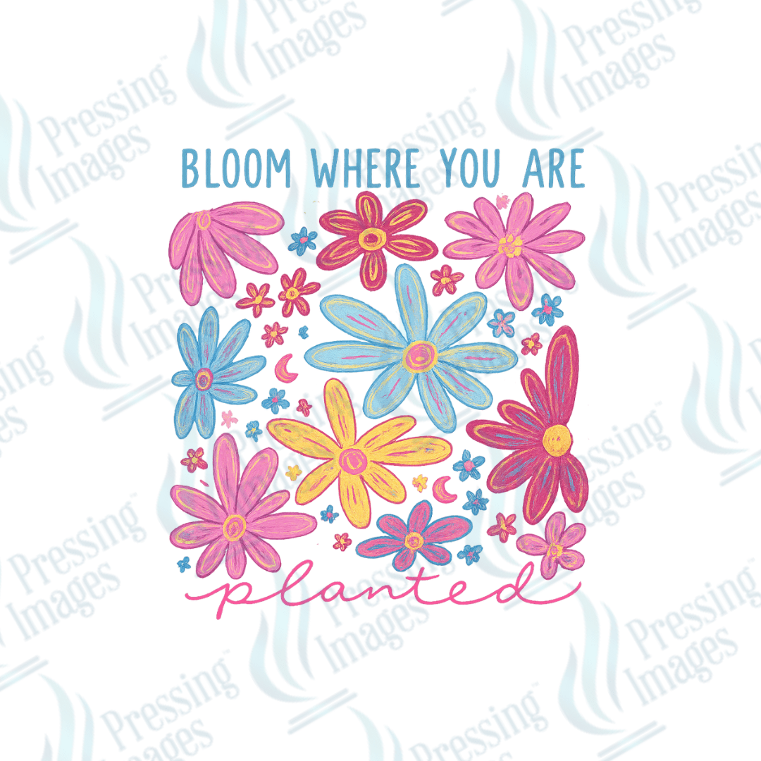 UVD 2640 Bloom Where You Are Planted - Pressing Images