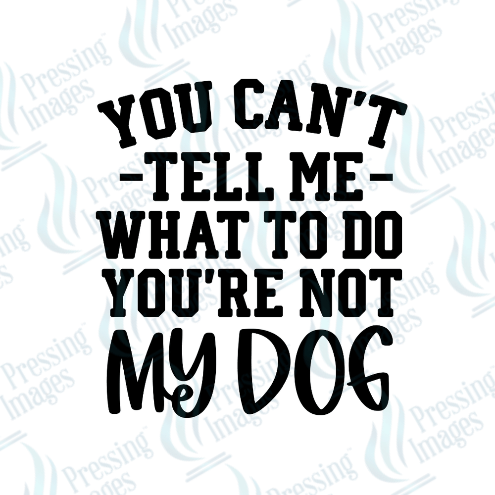 UVD 2651 You're Not My Dog - Pressing Images