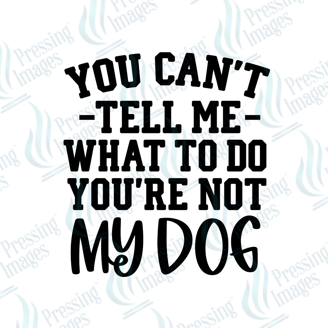 UVD 2651 You're Not My Dog - Pressing Images