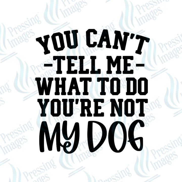 UVD 2651 You're Not My Dog - Pressing Images