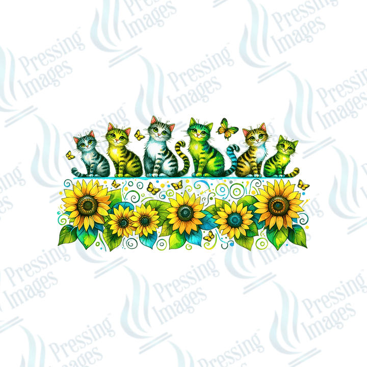 UVD 2652 Cats Sunflowers - Pressing Images