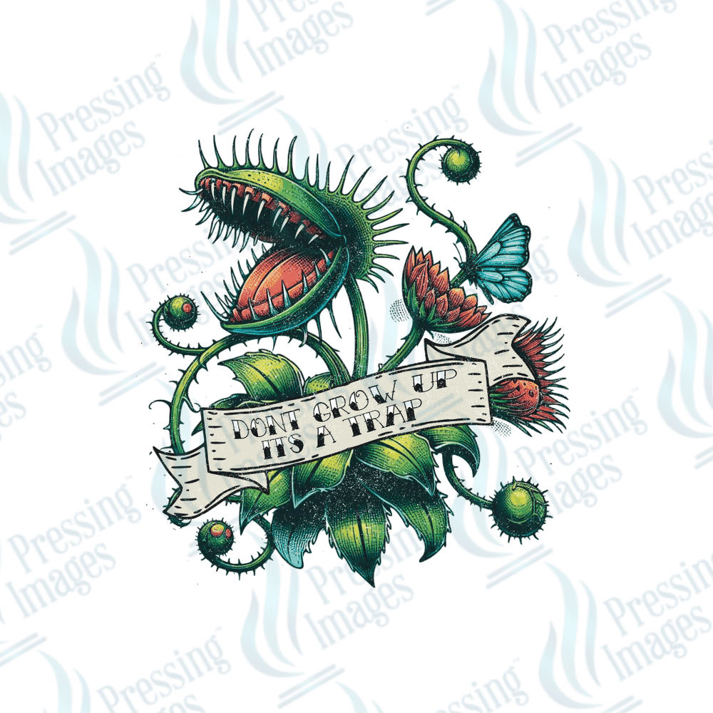 UVD 2685 Don't Grow Up - Pressing Images