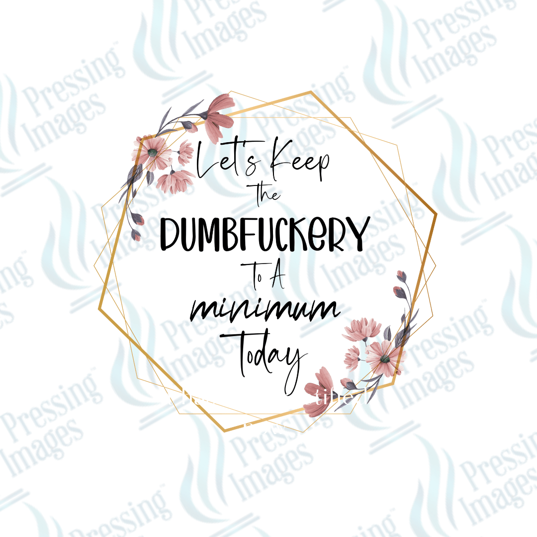 UVD 2703 Let's Keep The Dumbfuckery To A Minimum - Pressing Images