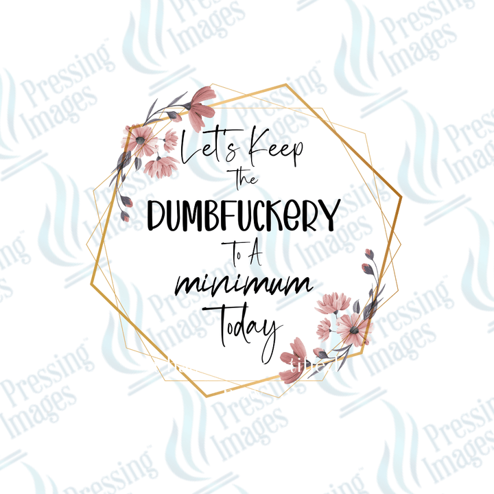 UVD 2703 Let's Keep The Dumbfuckery To A Minimum - Pressing Images