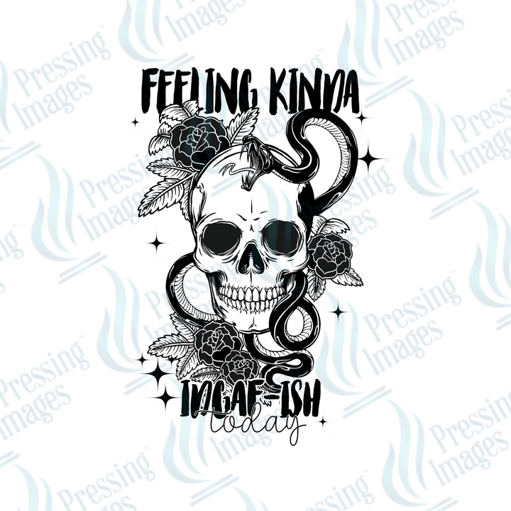 UVD 2711 Feeling Kinda IDGAF - Pressing Images