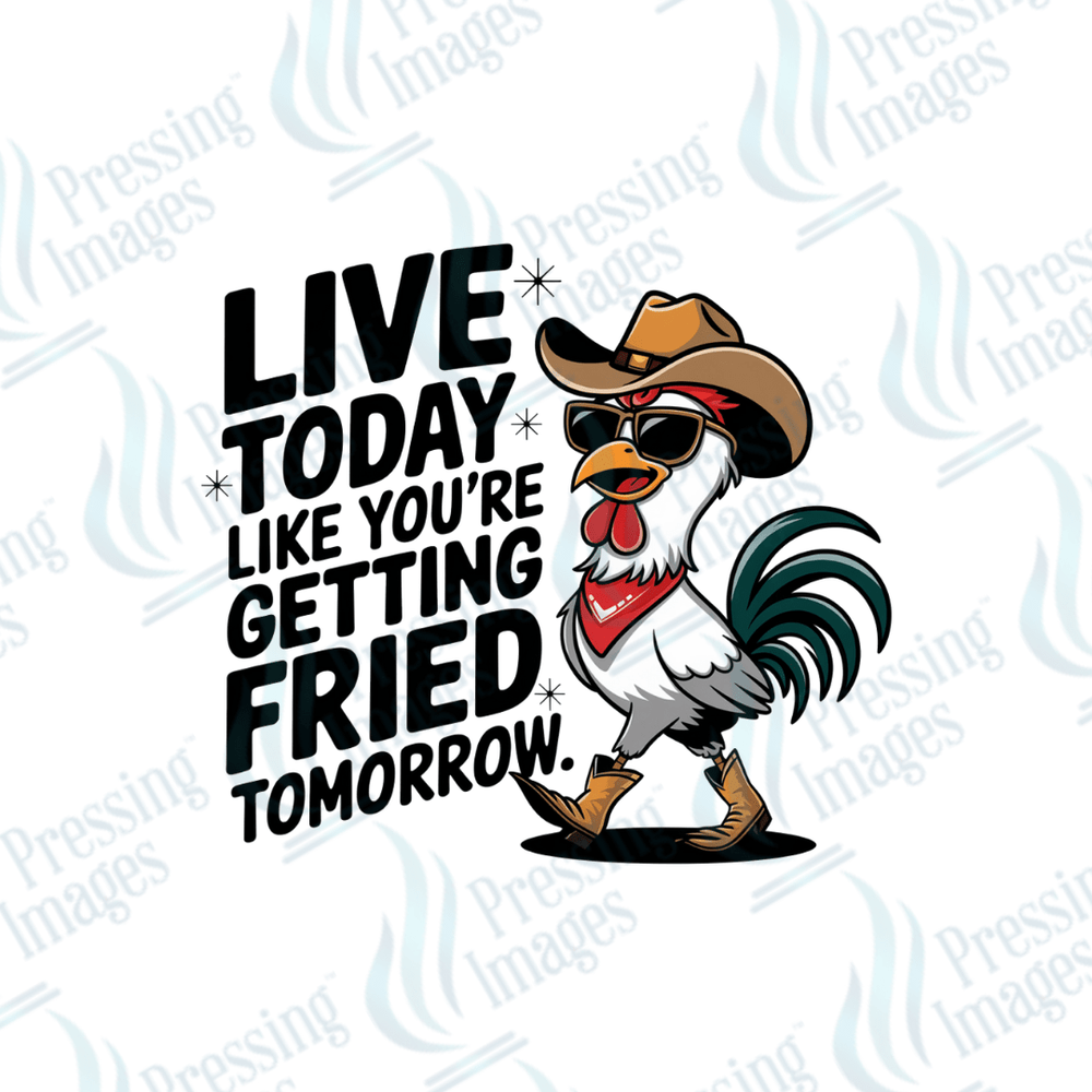 UVD 2713 Fried - Pressing Images